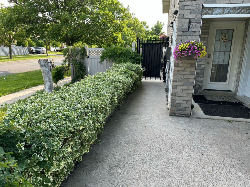 Quality Landscaping Solutions York Region